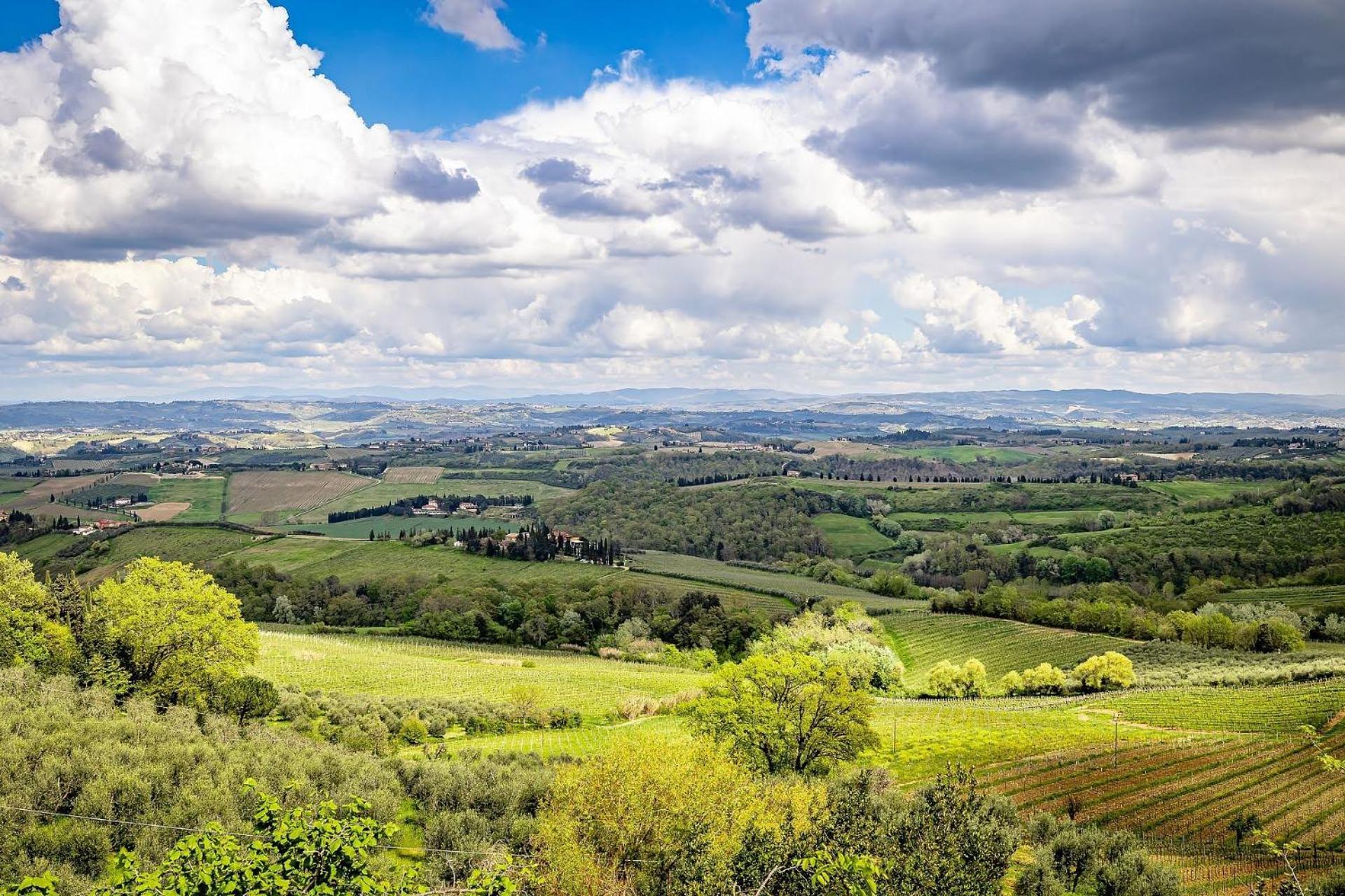 Agriturismo Cesani Villa San Gimignano Exterior foto